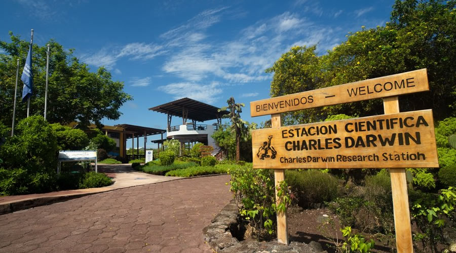 Darwin Station and Tortuga Bay – Ecuador