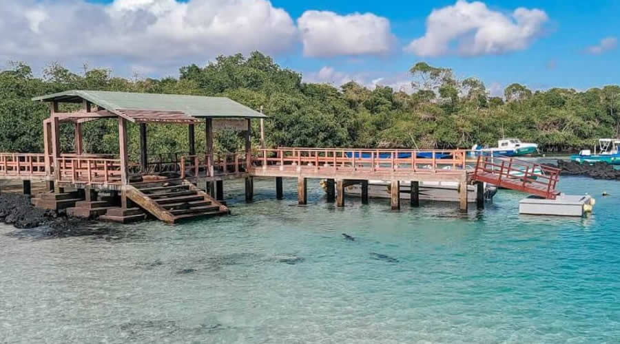 Island Hop to Isabela: Flamingos and Beach – Ecuador