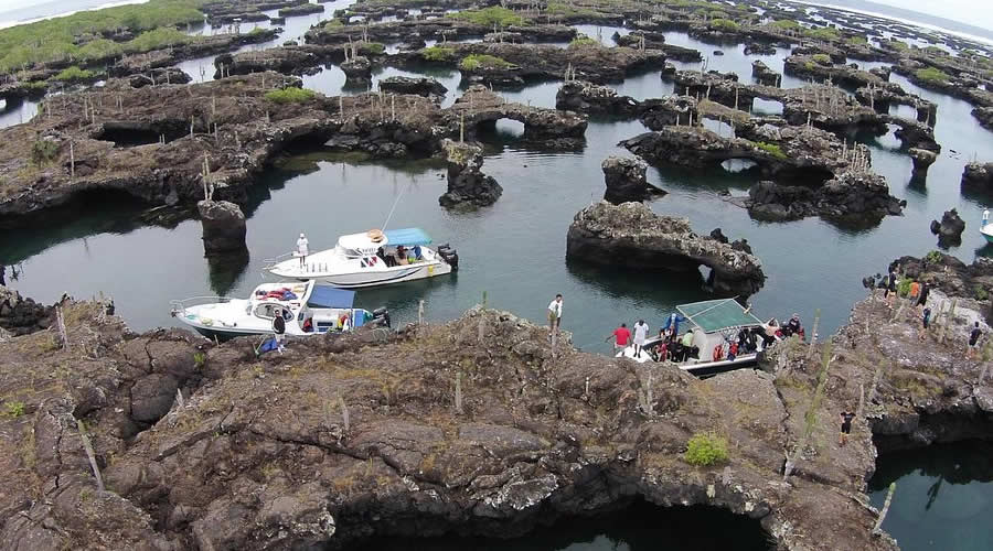 Los Túneles Snorkel Adventure – Ecuador