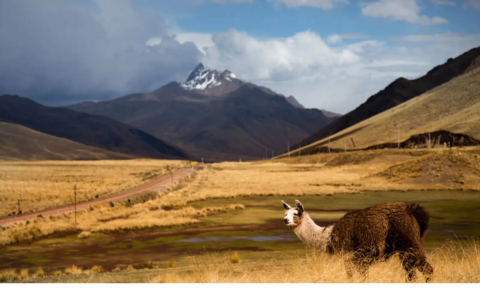 Nazca to the Sun Gate – 8-day Peru tour with friends