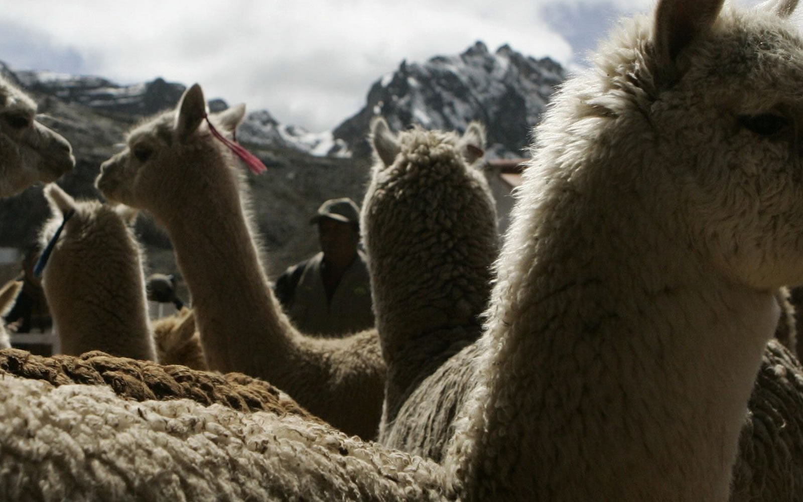Colca & Lost City – 9-day Peru tour for couples
