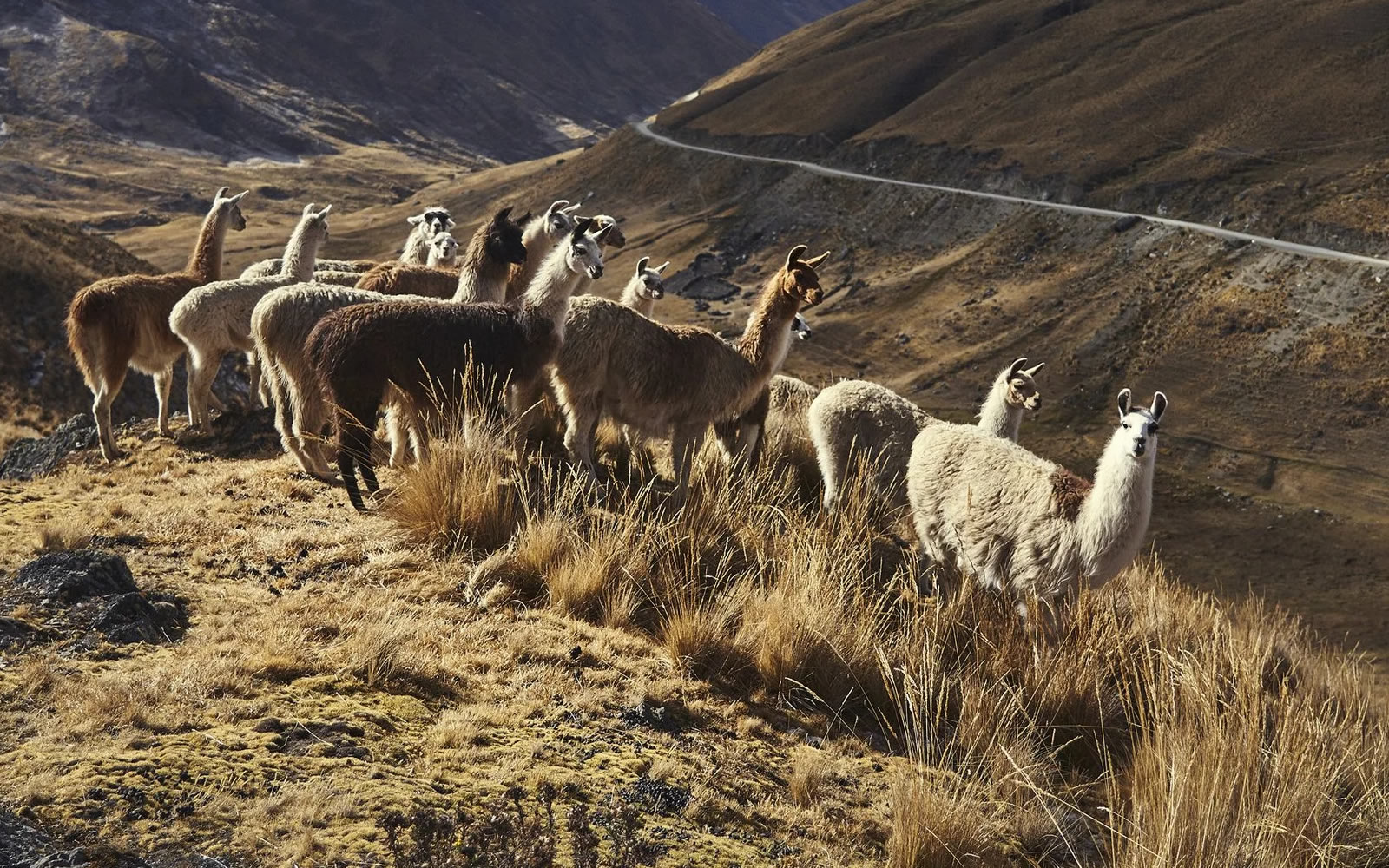 Inca Capital Snapshot – 5-day Peru tour for seniors