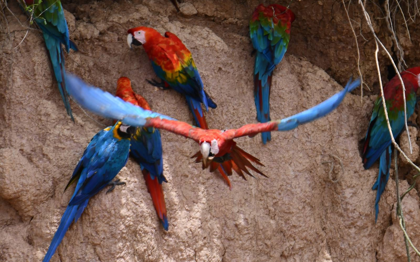 Desert & Cloud Forest – 10-day private Peru tour