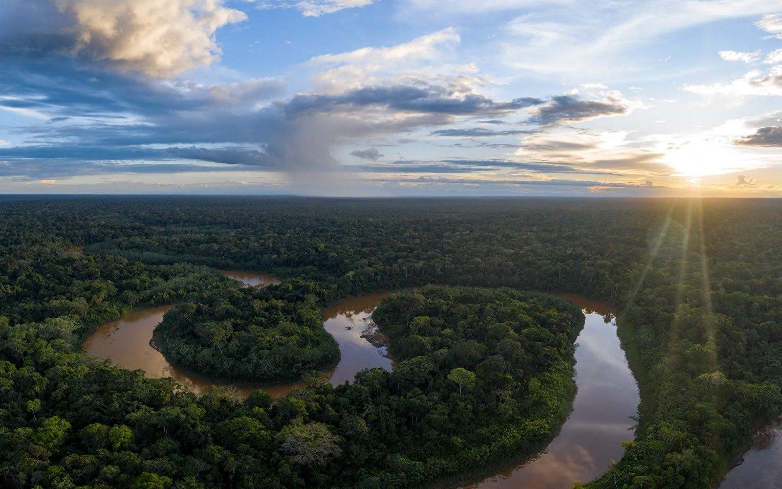 Deep rainforest of Manu on a 7-day expedition