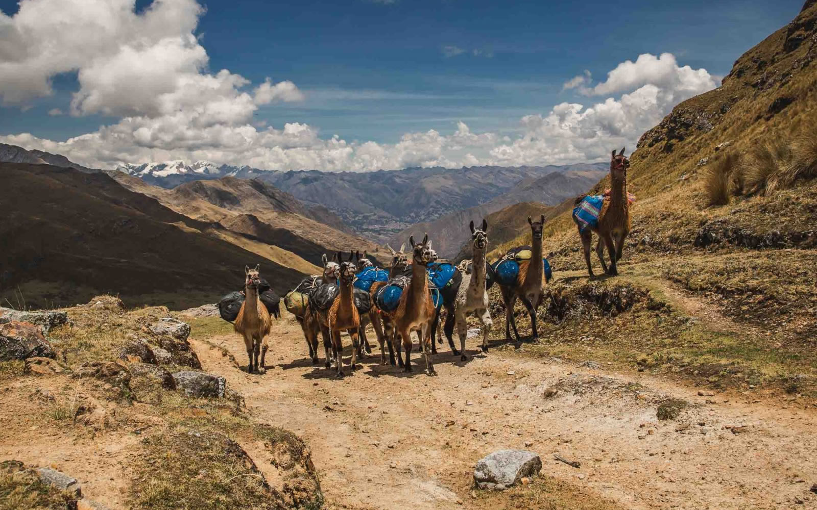 The Classic Inca Trail – 15-day private Peru tour