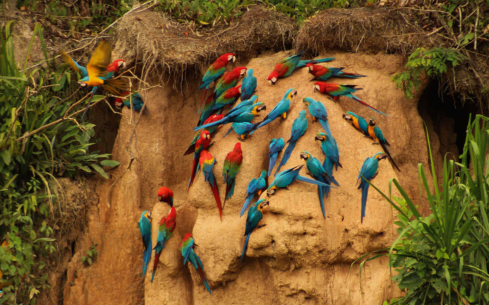 The Great Peru Getaway: Dunes to Jungle – 23-day Peru tour with friends