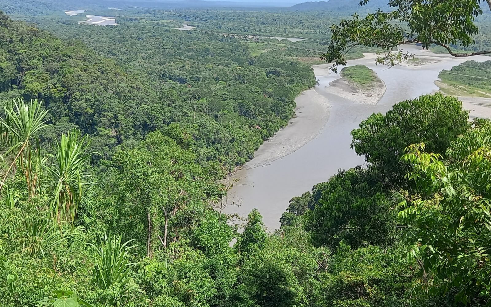 Rainforest of the Manu Cultural Zone on a 4-day expedition