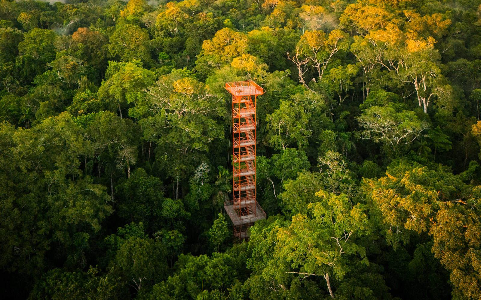 Incas & Tambopata – 15-day Peru tour with friends
