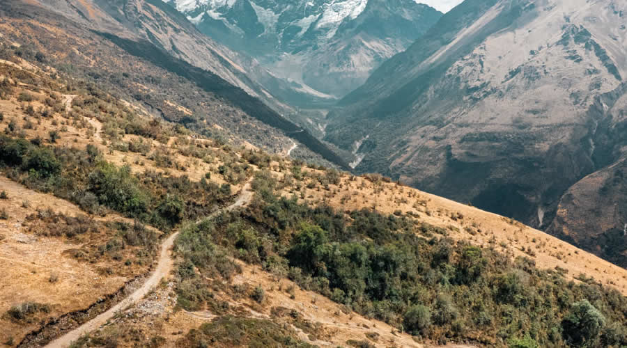 Cloud forest trail along the Santa Teresa River