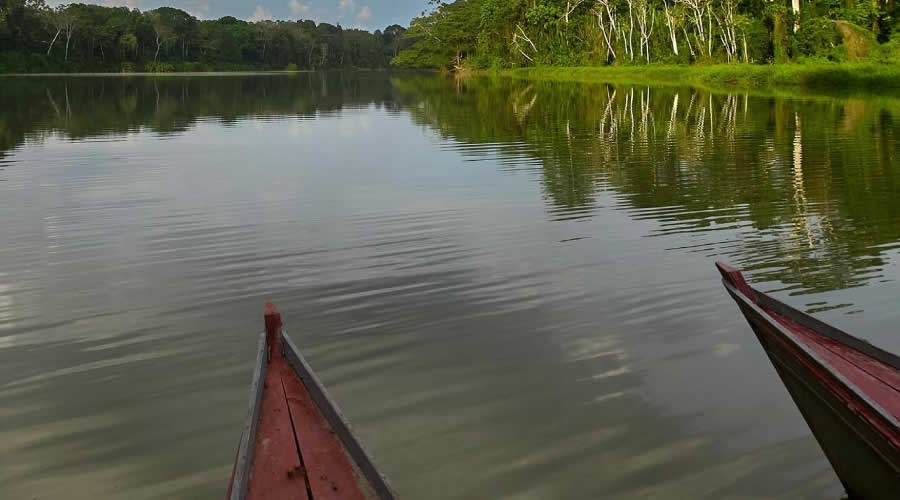 Boat on the Madre de Dios River in the Tambopata rainforest