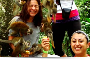 Viaggi in Perù, Viaggi su misura