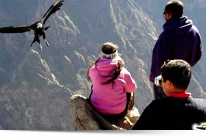 Viaggi in Perù, Viaggi su misura