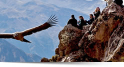 Pacchetto Vacanze, I Migliori Gitte in Peru