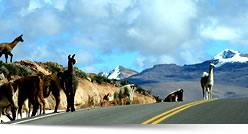 Pacchetto Vacanze, I Migliori Gitte in Peru