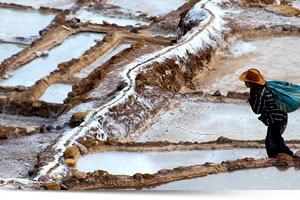 Viaggi in Perù, Viaggi su misura