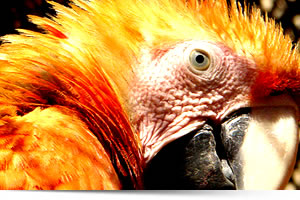 Viaggi in Perù, Viaggi su misura