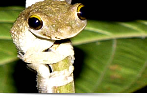 Viaggi in Perù, Viaggi su misura